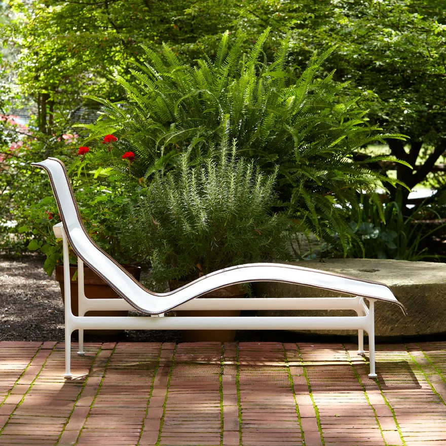 1966 Contour Chaise Lounge
