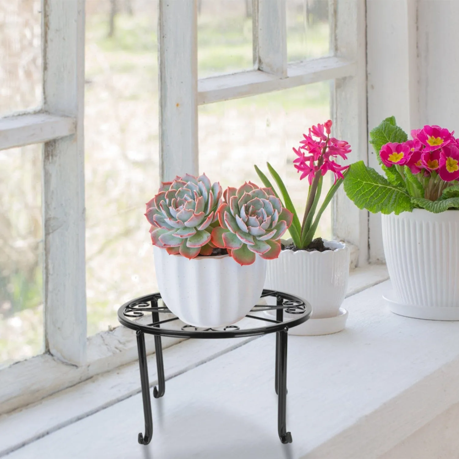 4-Pack: Iron Plotted Plant Stands