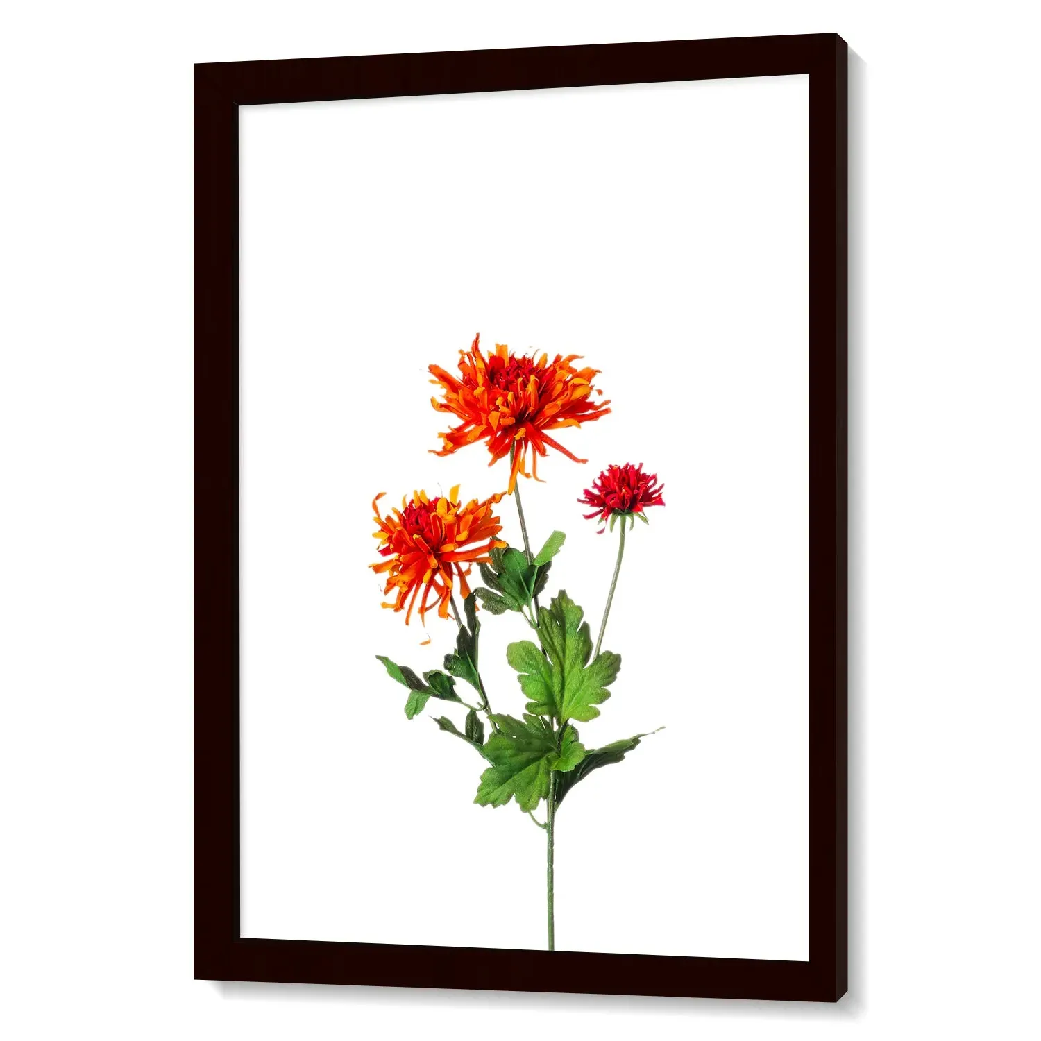 Beautiful Flower Plant Nature Painting