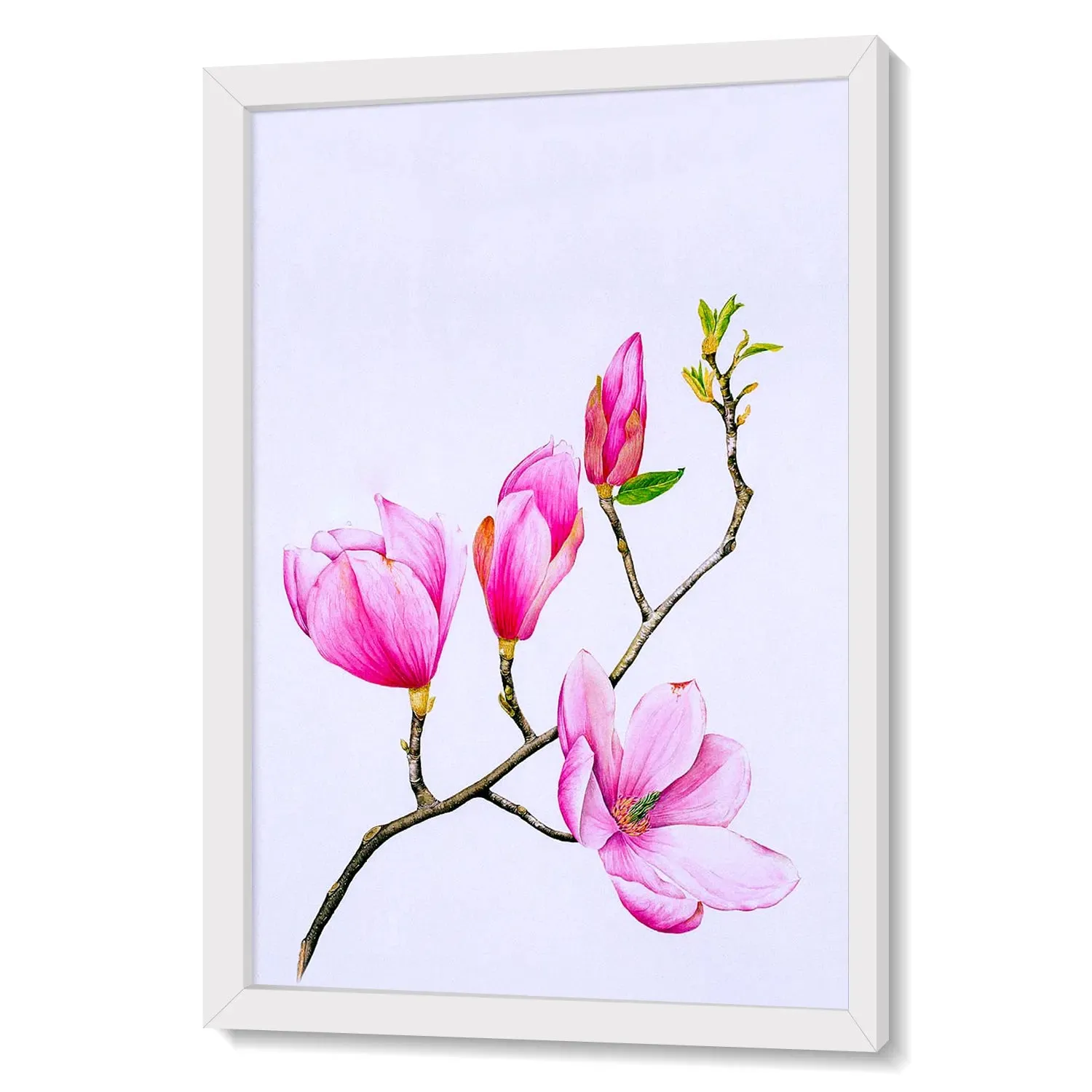 Beautiful Lilly Flowers Artwork Painting