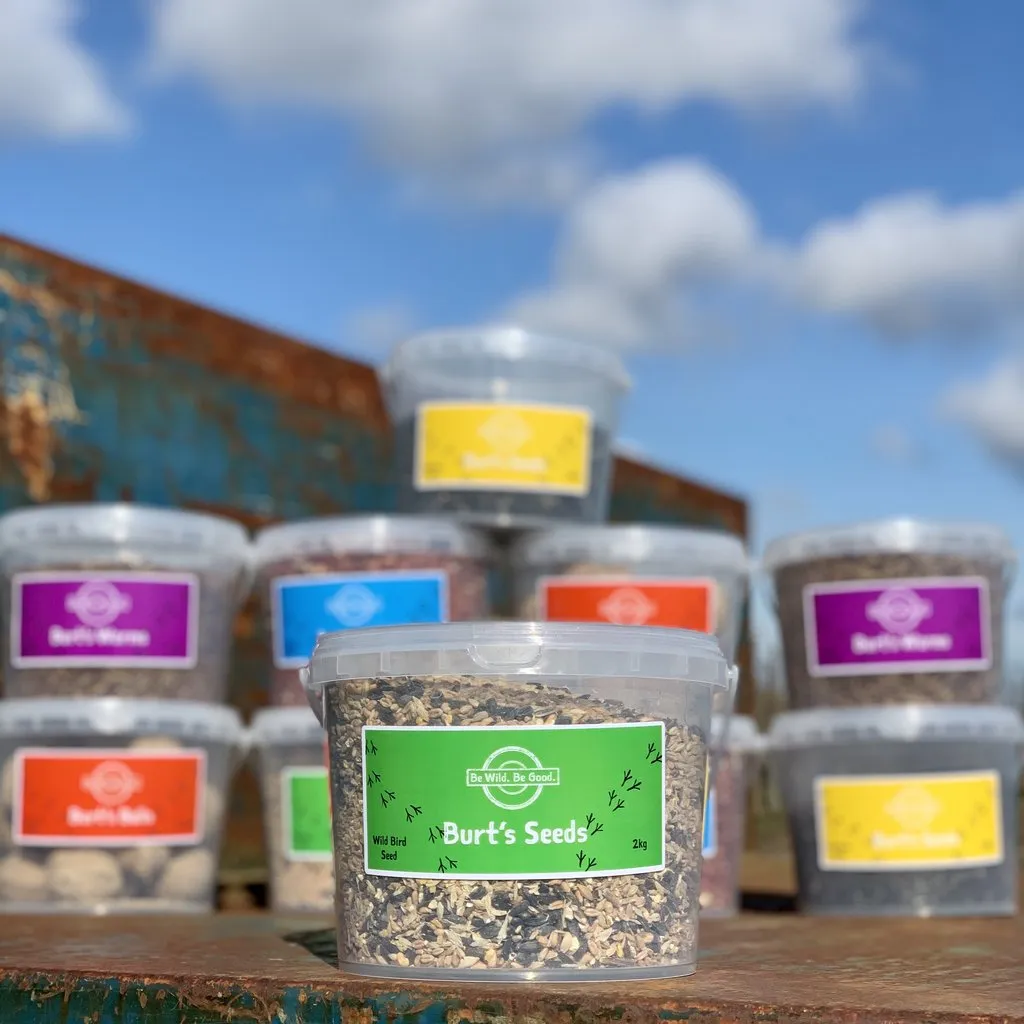 Bird Feed Combo - Feeding Station with Seeds and Nuts