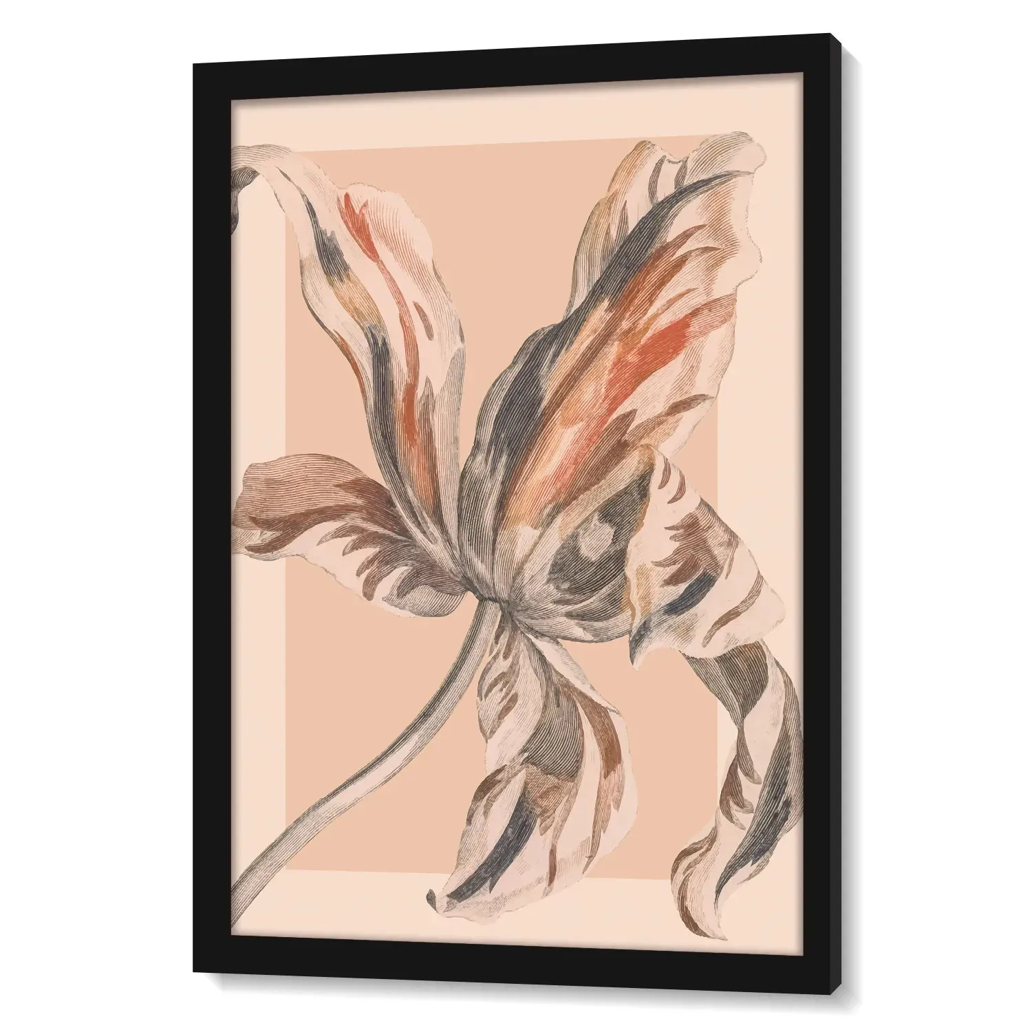 Blooming Flower Colored Pencil Sketch Style