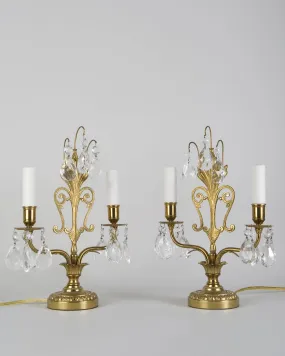 Brass Table Lamps with Crystal Prisms