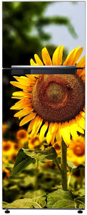 Byteon Abstract Beautiful Natural Sun Flower Leaves Extra lardge Fridge Sticker for Fridge Decor (PVC Vinyl Multicolor) fd370