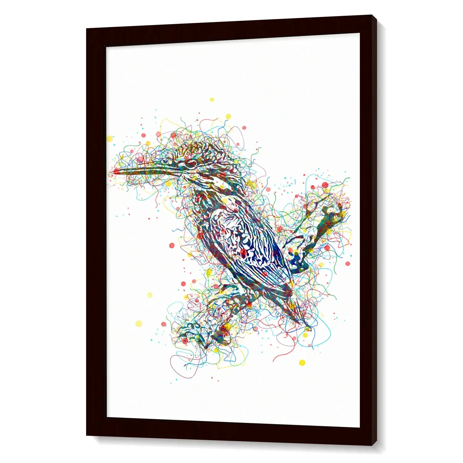 Colorful Kingfisher Bird Line Art