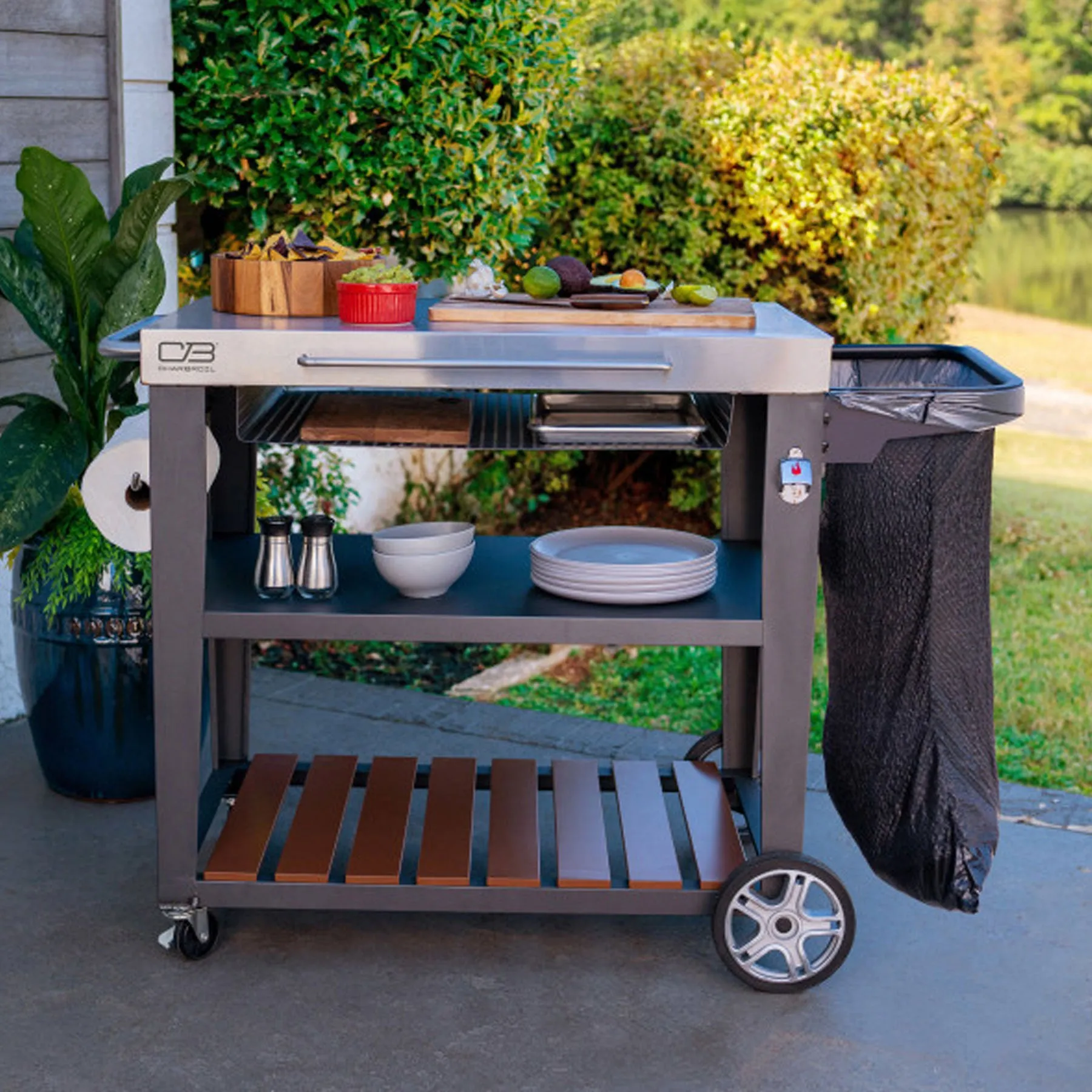 Entertainer Cart