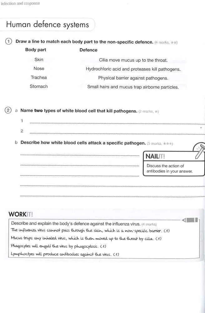 Gcse 9-1 Biology Aqa Exam Practice