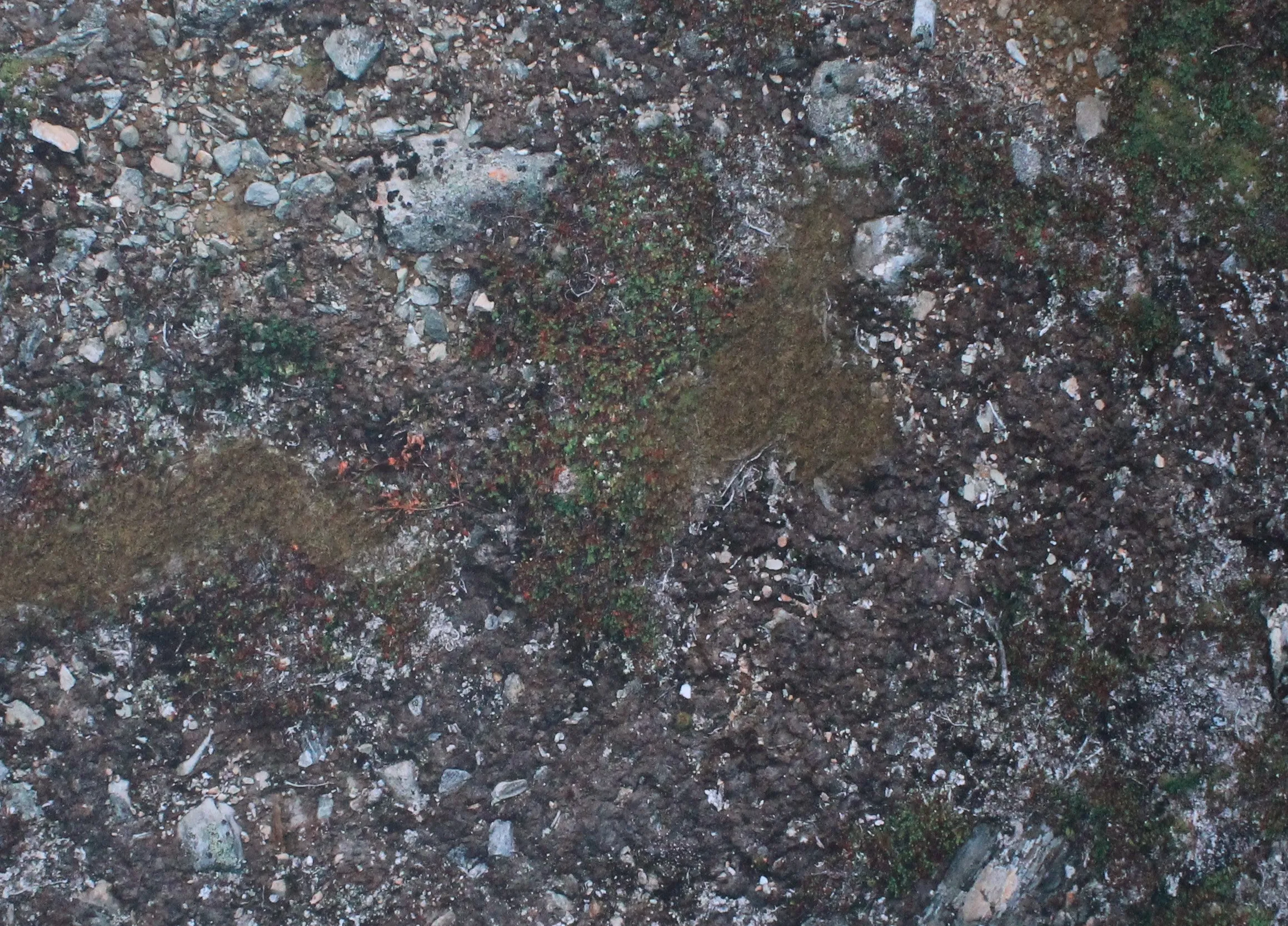Muddy Battlefield - Neoprene Battle Mat - Warhammer, AoS, 40K, Kill Team, MCP, Shatterpoint, Legion, More